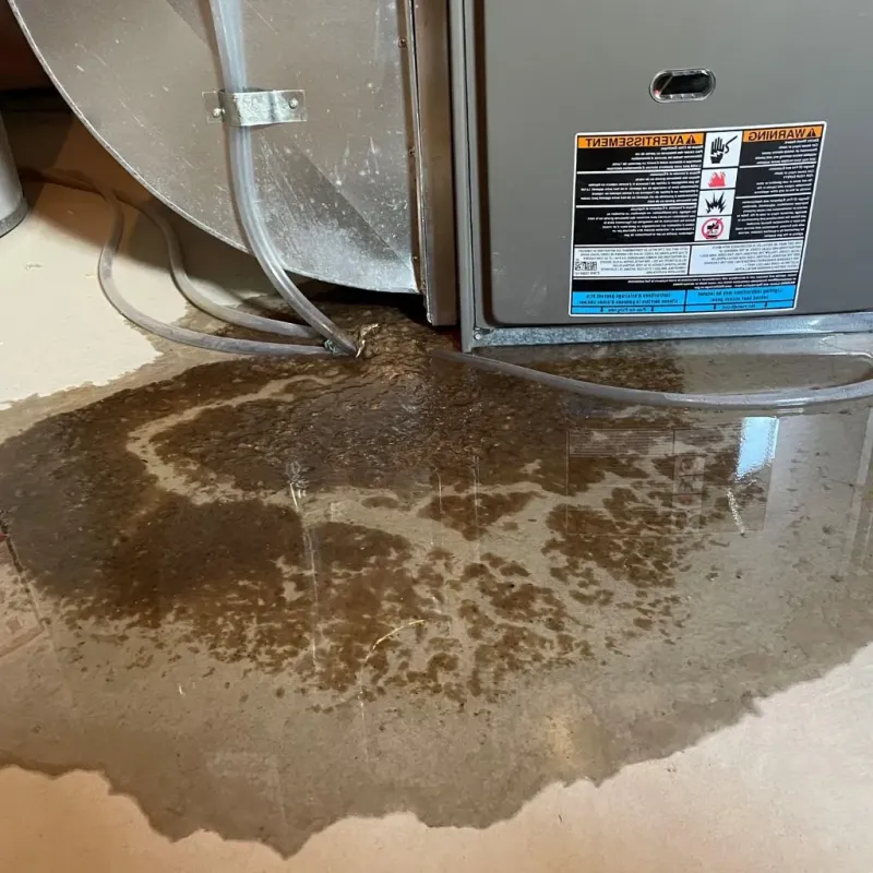 Pipe Burst and Leak Restoration in Cornwall, NY